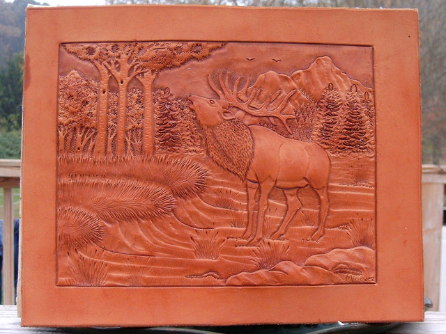 Elk