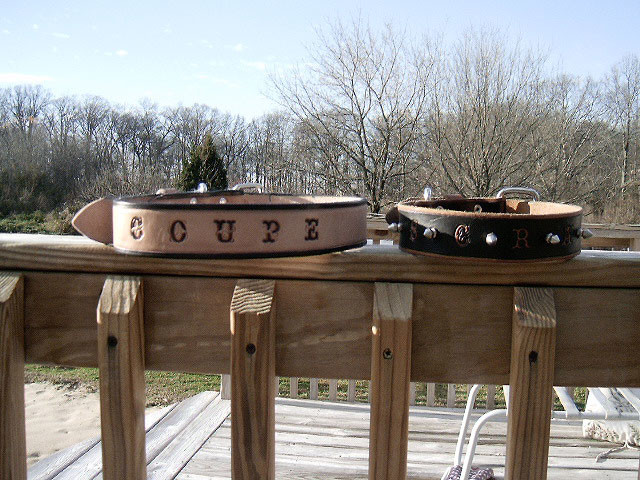 Dog Collars