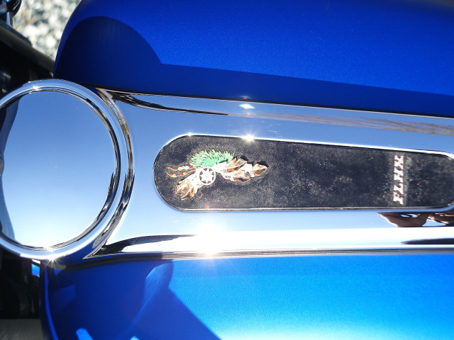 Motorcycle Gas Tank closeup 2